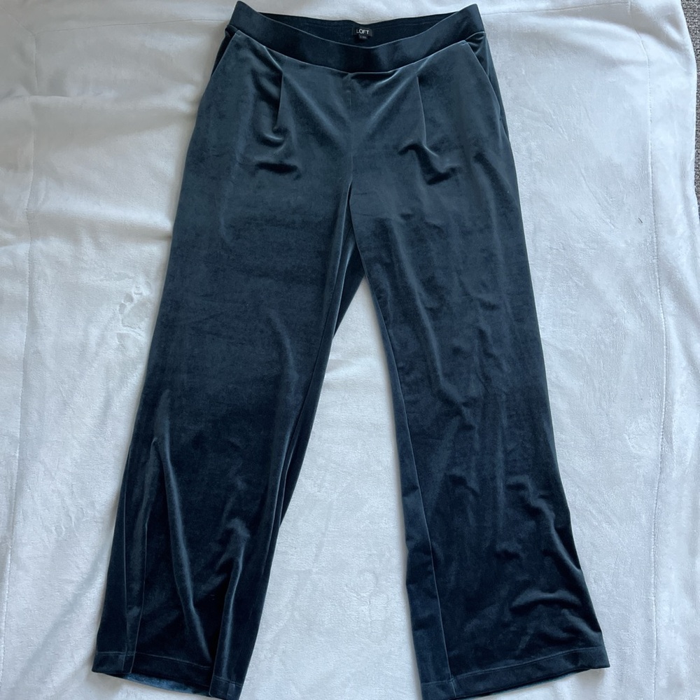Loft Navy blue velour pants